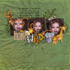 Born-to-be-Wild.jpg