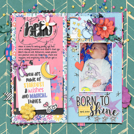 BornToShine-copy.jpg