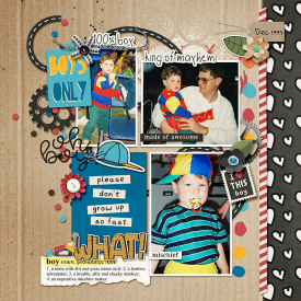 Boyswillbeboys-copy1.jpg