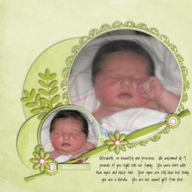 Bramble_Family_2008_-_Page_013.jpg