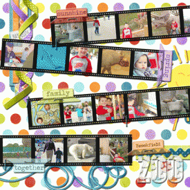 Brookfield-Zoo-web.gif