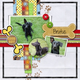 Brutus-web.jpg