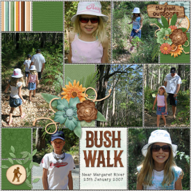 Bush-Walk-web.jpg