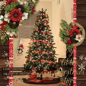CG-SSDAdventDec15bl.jpg