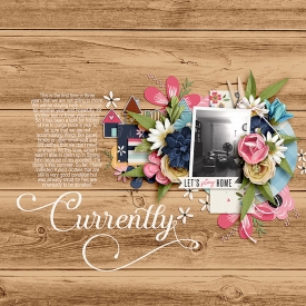 CG-SSDAugPassport14bl.jpg
