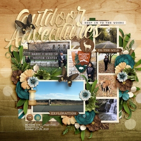 CG-SSDMarchPassport15bl.jpg