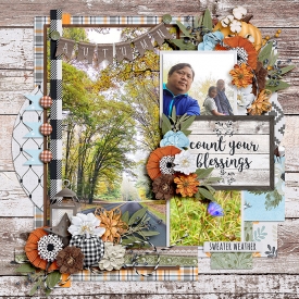 CG-Tinci_EverydayMemories7-SSDCopy.jpg