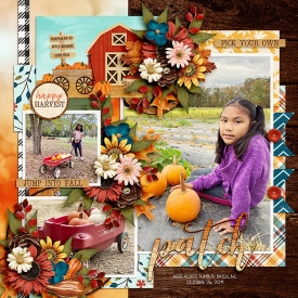 CG-Tinci_ThisIsNov1-SSDcopy.jpg