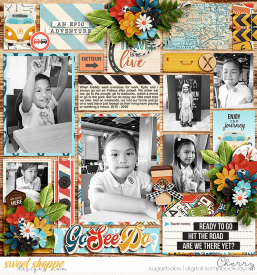 CG-cschneider_PhotoPalooza31WM.jpg