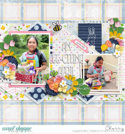 CG-cshcneider_HalfPack392WM.jpg