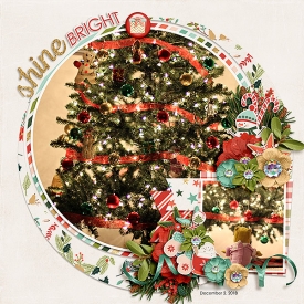CG-dagitMBK_ATasteOfWinterbl.jpg