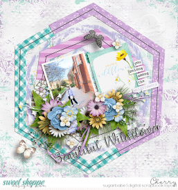 CG-ezane_PieceByPiece28WM.jpg