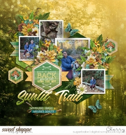 CG-kcb_ACTSunlitForestWM.jpg