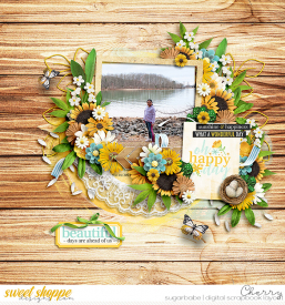 CG-kcb_PocketFullOfSunshineWM.jpg