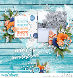 CG-kcb_SnowyDaysWM.jpg