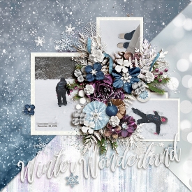 CG-kcb_WinterWonderbl.jpg