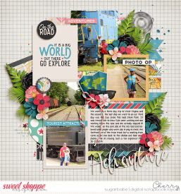 CG-kcbflergs_SYSTouristWM.jpg