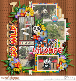 CG-mcreations_AtTheZoo-AsiaWM.jpg