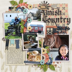CG-msg_AmishCountrybl.jpg