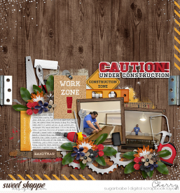 CG-riverrose_HomeImprovementWM.jpg