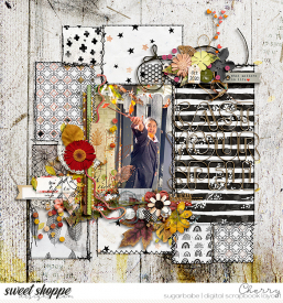 CG-sbasic_StudioFaveStitches3WM.jpg