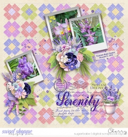 CG-tnp_AQuiltedFancyV2WM.jpg