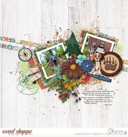 CG-tnp_AcrossThePage2WM.jpg