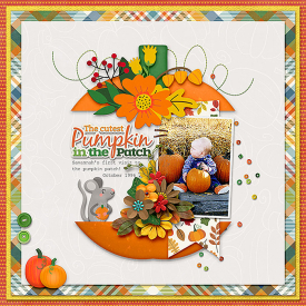 CMG-HelloPumpkin.jpg