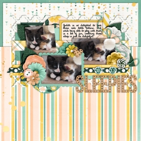 CT-CS-set178a.jpg