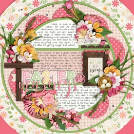 CT-CS-set211.jpg