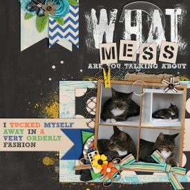 CT-KCB-excusethemess.jpg
