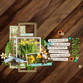 CT-KCB-sproutingup-inthegarden.jpg