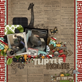 CT-LP-talktotheanimals.jpg