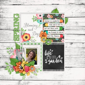 CT-TRD-ayr-beautifications.jpg