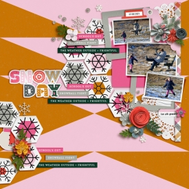 CT_APD_SSS11JAN25_SNOW-DAY_VRIELINKIE.jpg
