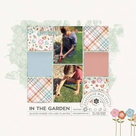 CT_DBS_SSS22MAR25_startingblocksvol1_happygarden_VRIELINKIE.jpg
