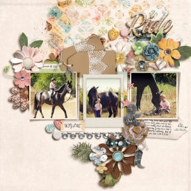 CT_FDD_NSD-03MAY25_FrameandFlourish_VRIELINKIE.jpg