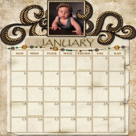 Calendar---January-web.jpg