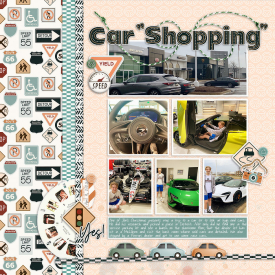 CarShoppingweb7.jpg