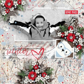 Cassie_700x-HSA-winter-wonderland-2-D-copy.jpg