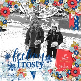 Cassie_BB_DSI---FTR---Winter-_HSA-the-bigger-picture-7_-copy.jpg