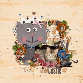 Cassie_DD--Meow-_ttt_thelionqueen_-copy.jpg
