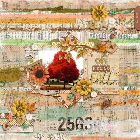 Cassie_SB--Captured-Fall-_ttt_lethimbealittlewild_-copy.jpg