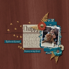 Chappy2016Web.jpg