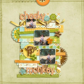 Cheeky-monkey1.jpg