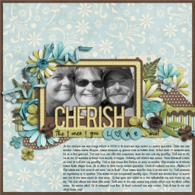 Cherish-ssd.jpg