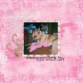 Chew_Toy-recipe_ch_5_28_sm.jpg