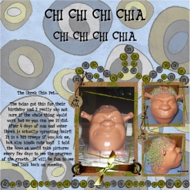 Chia_Pet.JPG