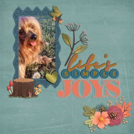 Chico-Dandelion-web2.jpg