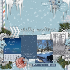 Chilly_Weather_Jan-_Feb_2019_smaller.jpg
